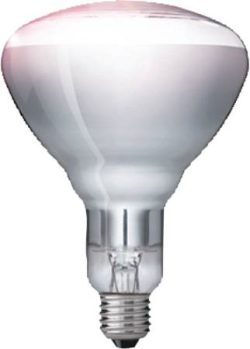 Glödlampa för värmelampa från Phillips, 250w, vit färg
